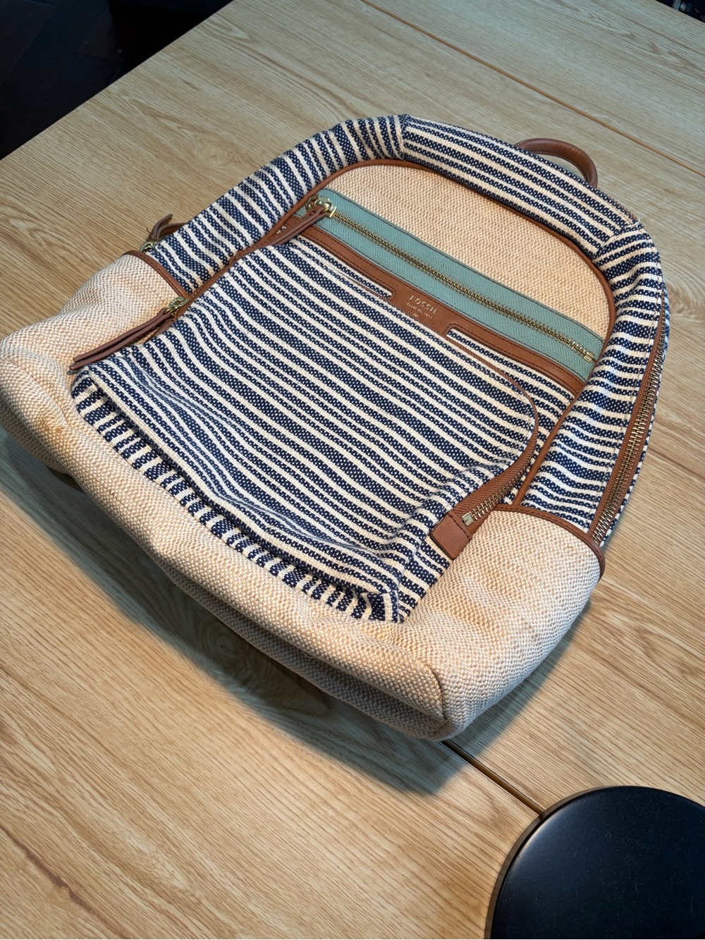 Fossil Striped Canvas Backpack with Mint Zip and Tan Trim